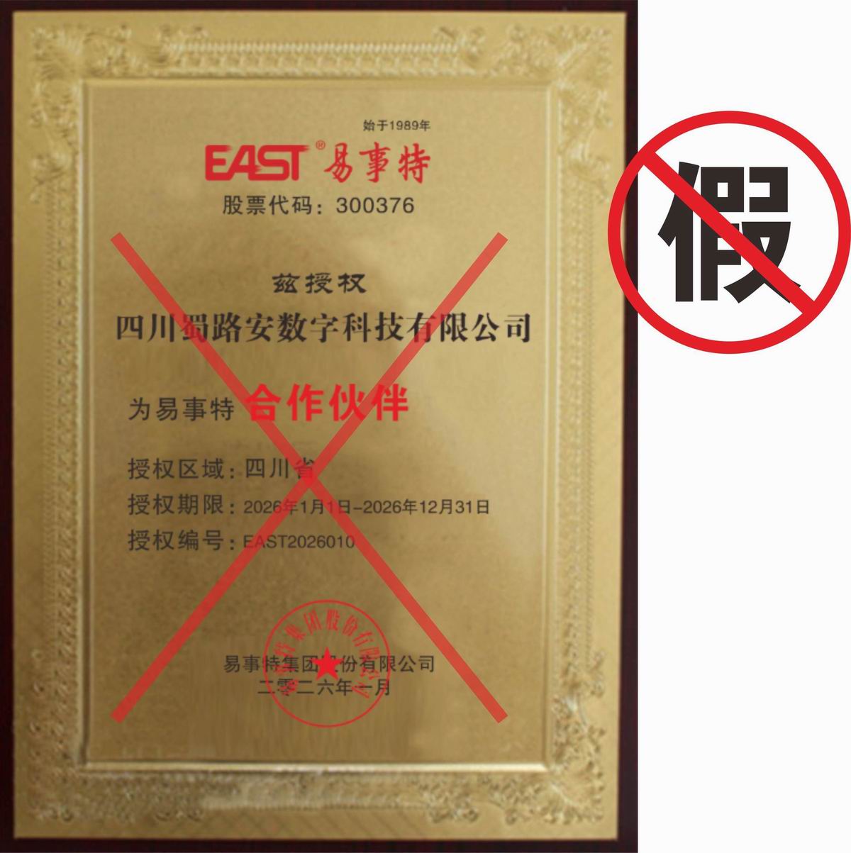 假.jpg
